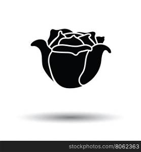 Cabbage icon. White background with shadow design. Vector illustration.