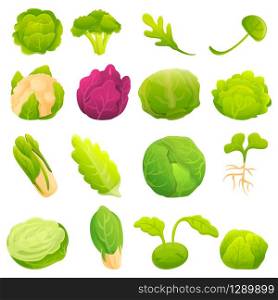 Cabbage icons set. Cartoon set of cabbage vector icons for web design. Cabbage icons set, cartoon style