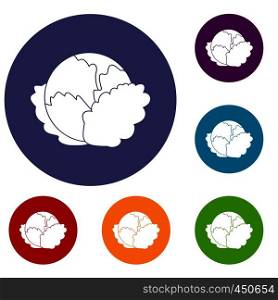 Cabbage icons set in flat circle reb, blue and green color for web. Cabbage icons set