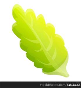 Cabbage long leaf icon. Cartoon of cabbage long leaf vector icon for web design isolated on white background. Cabbage long leaf icon, cartoon style