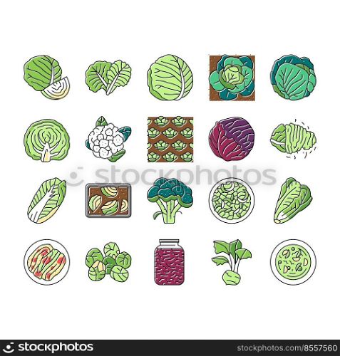 Cabbage Natural Vitamin Food Icons Set Vector. Healthy White And Green Cabbage, Broccoli And Lettuce Ingredient For Cooking Soup And Salad. Cauliflower Vegetable Color Illustrations. Cabbage Natural Vitamin Food Icons Set Vector