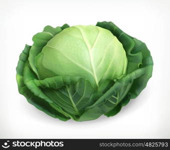 Cabbage, vector object