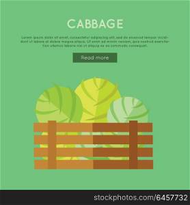 Cabbage vector web banner. Flat design. Illustration of wooden box full of fresh and ripe vegetables on color background for grocery shop, farm, agricultural company web page design. . Cabbage Vector Web Banner in Flat Style Design.
