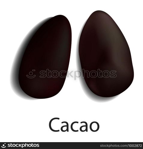 Cacao mockup. Realistic illustration of cacao vector mockup for web design isolated on white background. Cacao mockup, realistic style