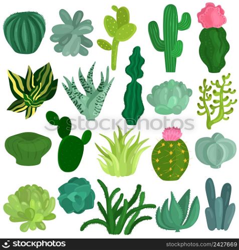 Cacti and succulent plants varieties flat icons collection with aloe crassula echeveria opuntia euphorbia isolated vector illustration . Cacti Succulents Plants Flat Set