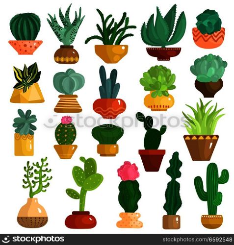 Cacti and succulents in pots flat icons collection with aloe agave kalanchoe opuntia euphorbia isolated vector illustration . Cacti Succulents In Pots Set