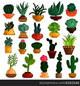Cacti and succulents in pots flat icons collection with aloe agave kalanchoe opuntia euphorbia isolated vector illustration . Cacti Succulents In Pots Set