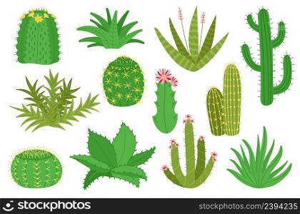 Cacti collection. Cactus plants, isolated mexican desert decorative succulents for home gardening. Cartoon house garden elements with flower, decent vector kit. Illustration of plant cactus and cacti. Cacti collection. Cactus plants, isolated mexican desert decorative succulents for home gardening. Cartoon house garden elements with flower, decent vector kit