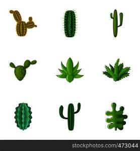 Cacti icons set. Cartoon set of 9 cacti vector icons for web isolated on white background. Cacti icons set, cartoon style