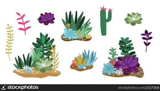 Cactus and succulent. Terrarium or florarium compositions. Flowers, plants and greenhouse decorative elements vector set. Cactus and succulent set