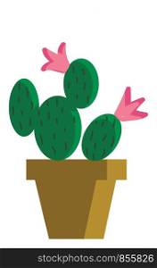 Cactus as Mickey and Minnie vector or color illustration