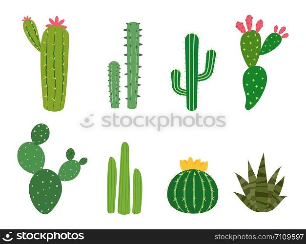 Cactus collections vector set isolated on white background