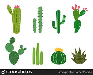 Cactus collections vector set isolated on white background