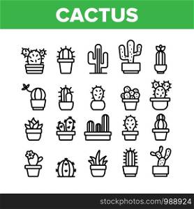 Cactus Domestic Plant Collection Icons Set Vector Thin Line. Different Cactus And Succulent With Thorn, Spike And Flower Concept Linear Pictograms. Houseplants Monochrome Contour Illustrations. Cactus Domestic Plant Collection Icons Set Vector