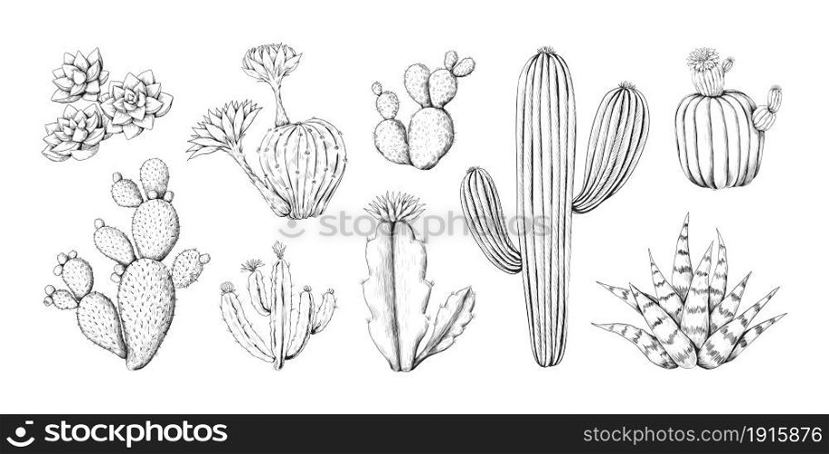 Cactus engraving sketch. Hand drawn western desert prickly plant with blossom and spikes. Doodle tropical flora. Isolated black and white botanical outline elements. Vector succulent engraving set. Cactus engraving sketch. Hand drawn western desert plant with blossom and spikes. Doodle tropical flora. Isolated black and white botanical elements. Vector succulent engraving set