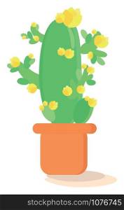 Cactus flower, illustration, vector on white background.