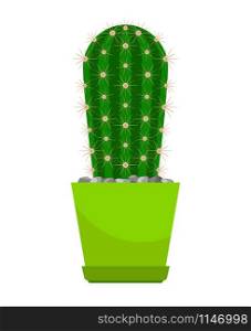 Cactus house plant in bright green flower pot, vector illustration. Cactus house plant in pot