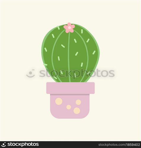 Cactus house plant in flower pot
