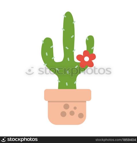 Cactus house plant in flower pot