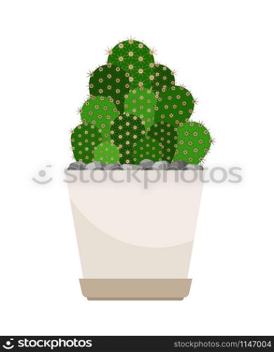 Cactus house plant in flower pot, vector icon on white background. Cactus house plant in white flower pot