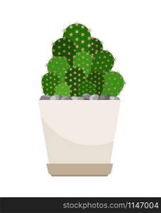 Cactus house plant in flower pot, vector icon on white background. Cactus house plant in white flower pot