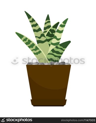 Cactus house plant in flower pot, vector icon on white background. Cactus house plant in flower pot