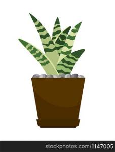 Cactus house plant in flower pot, vector icon on white background. Cactus house plant in flower pot