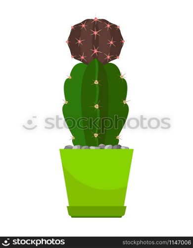 Cactus house plant in green flower pot, vector illustration on white background. Cactus in green flower pot