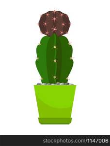 Cactus house plant in green flower pot, vector illustration on white background. Cactus in green flower pot