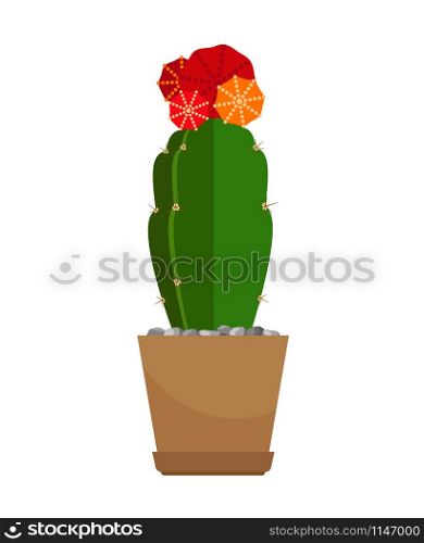 Cactus house plant with red flower in pot, vector icon on white. Cactus with red flower in pot