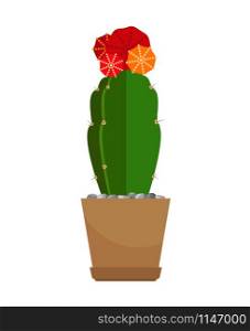 Cactus house plant with red flower in pot, vector icon on white. Cactus with red flower in pot