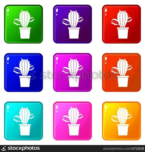 Cactus houseplants in pot icons of 9 color set isolated vector illustration. Cactus houseplants in pot icons 9 set