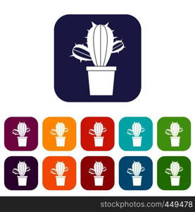 Cactus houseplants in pot icons set vector illustration in flat style In colors red, blue, green and other. Cactus houseplants in pot icons set flat