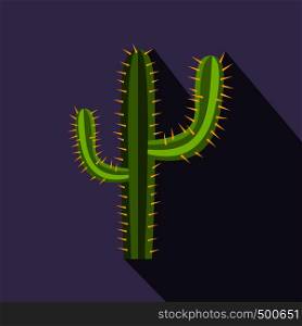 Cactus icon in flat style on a violet background . Cactus icon, flat style