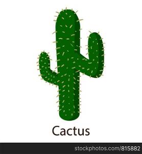 Cactus icon. Isometric illustration of cactus icon for web. Cactus icon, isometric 3d style