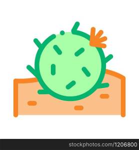 Cactus Icon Vector. Outline Cactus Sign. Isolated Contour Symbol Illustration. Cactus Icon Vector Outline Illustration