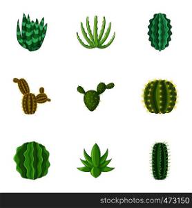 Cactus icons set. Cartoon set of 9 car vector icons for web isolated on white background. Cactus icons set, cartoon style