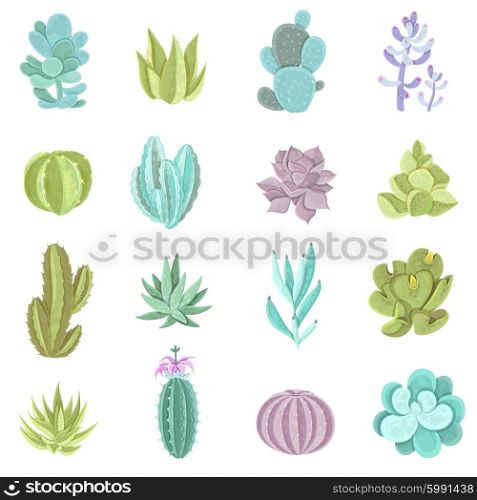 Cactus Icons Set . Decorative different types of cactus icons set with thorns flat isolated vector illustration