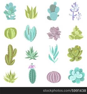 Cactus Icons Set . Decorative different types of cactus icons set with thorns flat isolated vector illustration