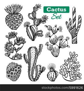 Cactus Icons Set . Decorative different types of cactus icons set with thorns black white sketch isolated vector illustration