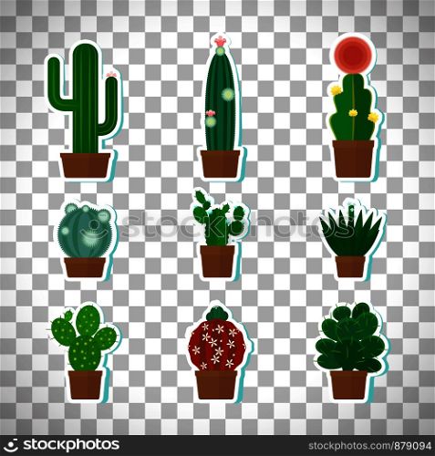 Cactus icons set isolated on transparent background, vector illustration. Cactus icons set on transparent background