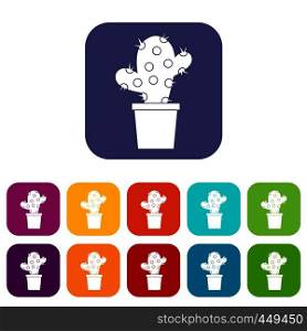 Cactus icons set vector illustration in flat style In colors red, blue, green and other. Cactus icons set flat