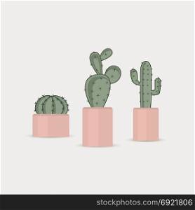 Cactus in a flower pot. Set vector illustration of a cactus on a white background. Cactus in a flower pot