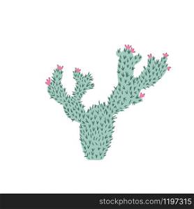 Cactus in doodle style. Cute prickly green cactus. Cacti flower isolated on white background. Hand drawn floral vector illustration.. Cactus in doodle style. Cute prickly green cactus. Cacti flower isolated on white background.