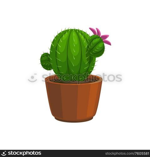 Cactus in pot isolated blooming houseplant. Vector cacti with pink flower, potted plant. Potted cactus plant with pink blooming flower