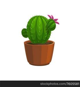 Cactus in pot isolated blooming houseplant. Vector cacti with pink flower, potted plant. Potted cactus plant with pink blooming flower
