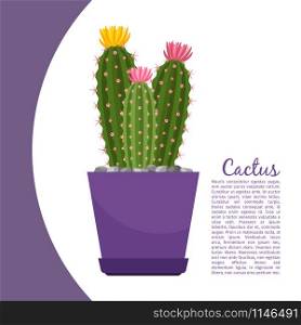 Cactus indoor plant in pot banner template, vector illustration. Cactus plant in pot banner