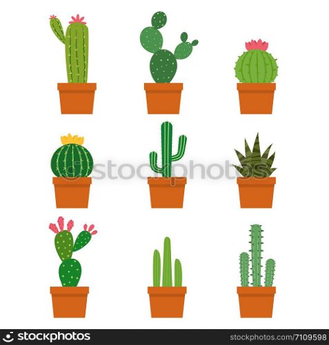 Cactus plant collections vector set isolated on white background