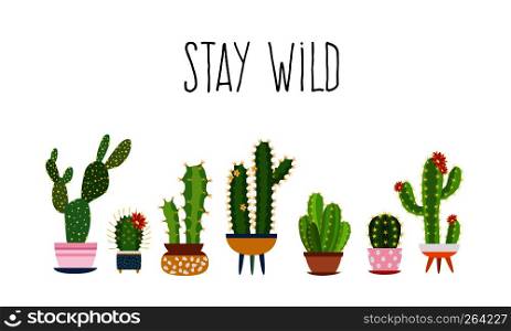Cactus poster. Succulents cacti exotic cactuses plants sketch trendy typography slogan, flower woman fashion vector design. Cactus poster. Succulents cacti exotic cactuses plants sketch trendy typography slogan, flower woman fashion design