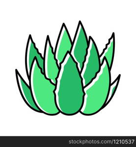 Cactus sprouts green color icon. Aloe vera leaves. Growing medicinal herb. Decorative plant. Botanical ingredient for organic cosmetic. Dermatology and cosmetology. Isolated vector illustration